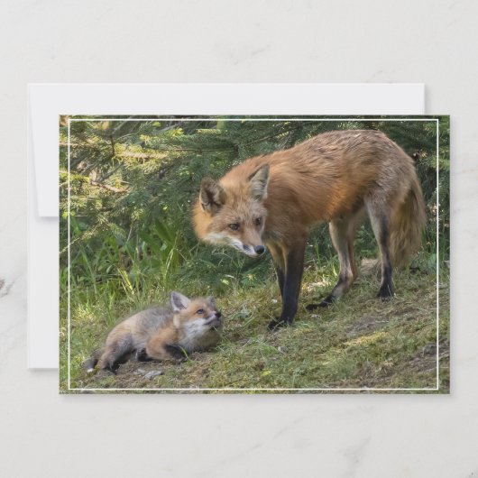 私は母を愛している シーズンカード (正面)