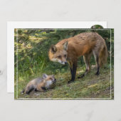 私は母を愛している シーズンカード (正面/裏面)