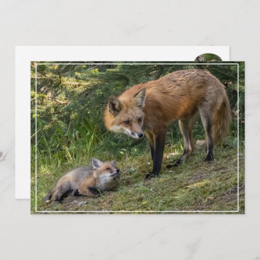 私は母を愛している シーズンカード (正面/裏面)