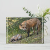 私は母を愛している シーズンカード (スタンド正面)