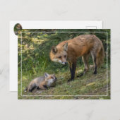 私は母を愛している ポストカード (正面/裏面)