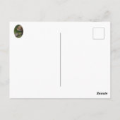 私は母を愛している ポストカード (裏面)