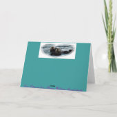 私は海のオッターグリーティングカードを愛する カード (裏面)