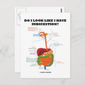 私は消化不良に見える？（医療） ポストカード (正面/裏面)