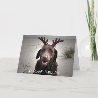 私は準備ができています シーズンカード