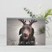 私は準備ができています 招待状 (スタンド正面)