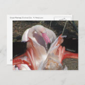 私は点滅します! ポストカード (正面/裏面)