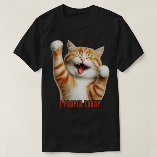私は猫おもしろいV2を見た Tシャツ (デザイン正面)