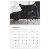 私は猫および子ネコの当然カレンダーにあります カレンダー (1月 2027)