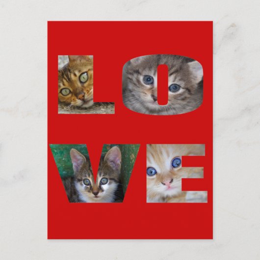 私は猫が大好き ポストカード (正面)