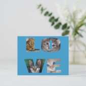 私は猫が大好き ポストカード (スタンド正面)