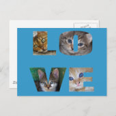 私は猫が大好き ポストカード (正面/裏面)