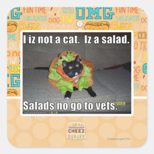 私は猫ではない。サラダを食べる。 スクエアシール