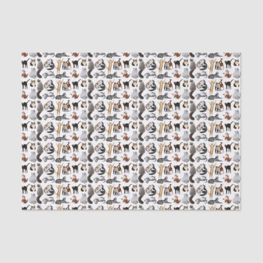 私は猫のティッシュペーパーを愛します 薄葉紙 (正面)