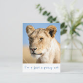 私は猫のライオン写真で文字 ポストカード (スタンド正面)