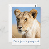 私は猫のライオン写真で文字 ポストカード (正面/裏面)