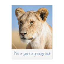 私は猫のライオン写真で文字