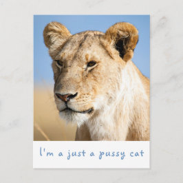 私は猫のライオン写真で文字 ポストカード