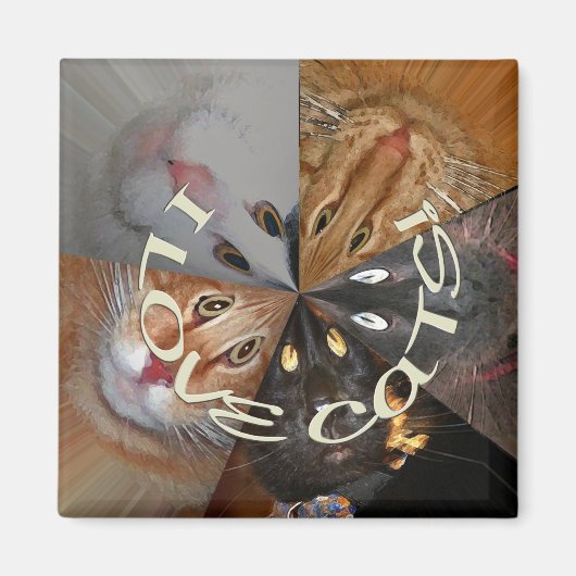 私は猫の磁石が大好き マグネット (正面)