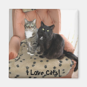 私は猫を愛します! 磁石