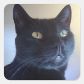 私は猫シール スクエアシール (正面)