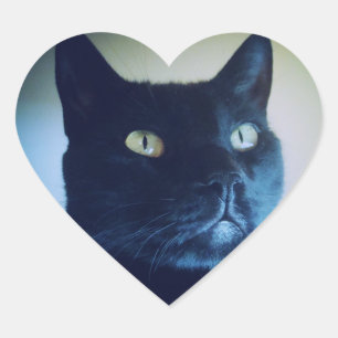 私は猫シール ハートシール