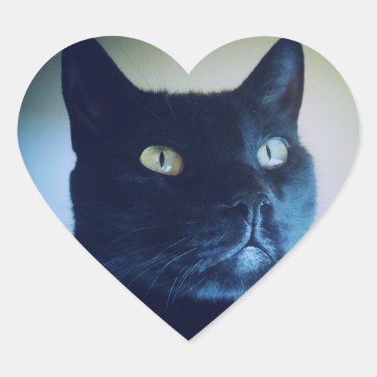 私は猫シール ハートシール (正面)