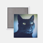 私は猫マグネットだ マグネット (正面/裏面)