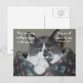 私は猫… ポストカード (正面/裏面)