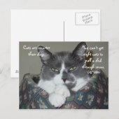 私は猫… ポストカード (正面/裏面)