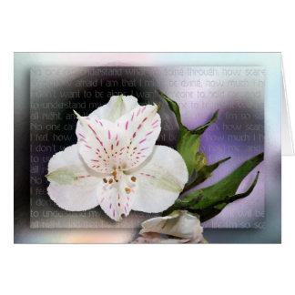 私は理解します