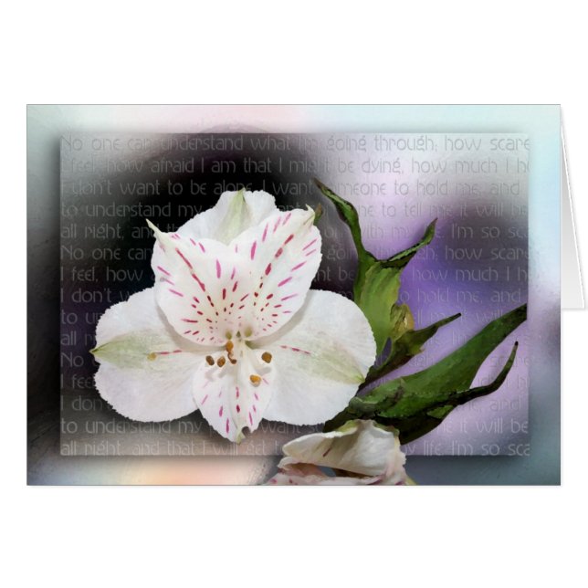 私は理解します (正面横)