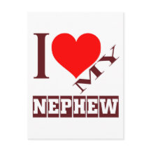 私は甥を愛している。