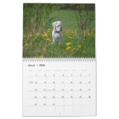 私は白いボクサー2017のカレンダーを愛します カレンダー (3月 2026)