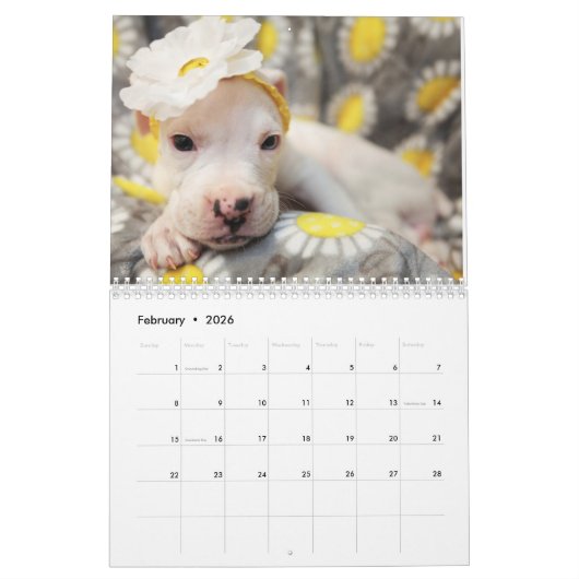 私は白いボクサー2017のカレンダーを愛します カレンダー (2月 2026)