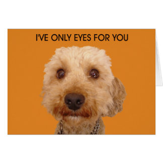 私は目しか持っていない