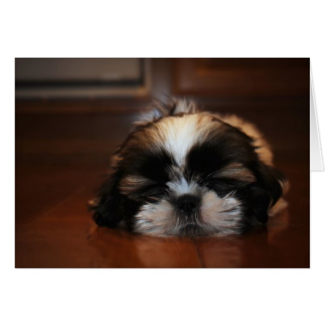 私は目のカードを持ってい空白のる (正面横)