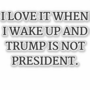 私は目を覚まし、トランプが大統領ではない時にそれを愛する シール
