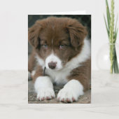 私は真剣な"YES私はあなたの誕生日上にある! カード (正面)