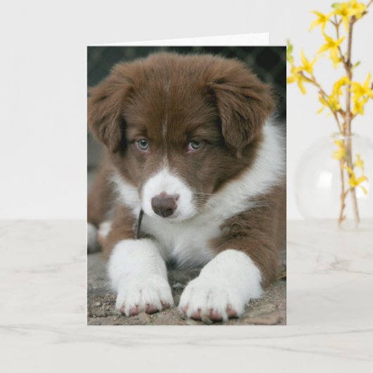 私は真剣な"YES私はあなたの誕生日上にある! カード (黄色い花)