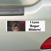 私は砂糖のグライダーを愛します! バンパーステッカー (車上)