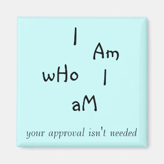 私は磁石だ マグネット