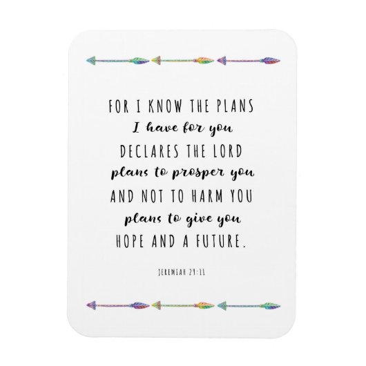 私は私があなたのために持っている計画を知っている マグネット (縦)