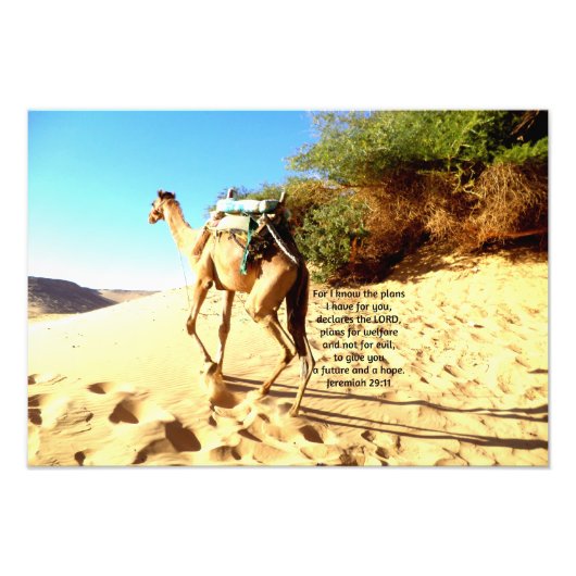 私は私が持っている計画を知っているので…..エレミヤ29:11 フォトプリント            (正面)