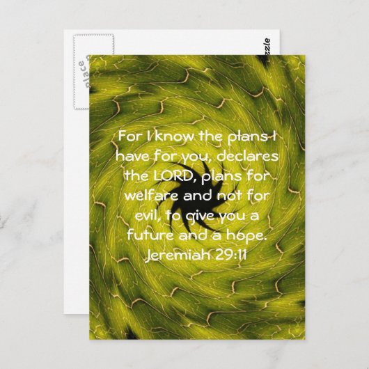 私は私が持っている計画を知っているので…..エレミヤ29:11 ポストカード (正面/裏面)