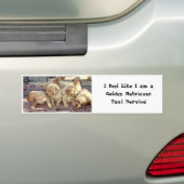 私は私が金Retreiverのタクシーサービスであるように感じます バンパーステッカー (車上)