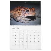 私は私のカエルのカスタムによって印刷されるカレンダーを愛します カレンダー (3月 2026)