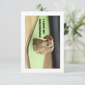 私は私のクリームダシュントが大好き写真 サンキューカード (スタンド正面)