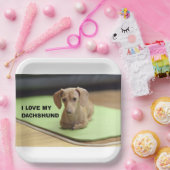 私は私のクリームダシュントが大好き写真 ペーパープレート (パーティー)