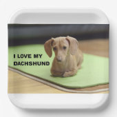 私は私のクリームダシュントが大好き写真 ペーパープレート (正面)